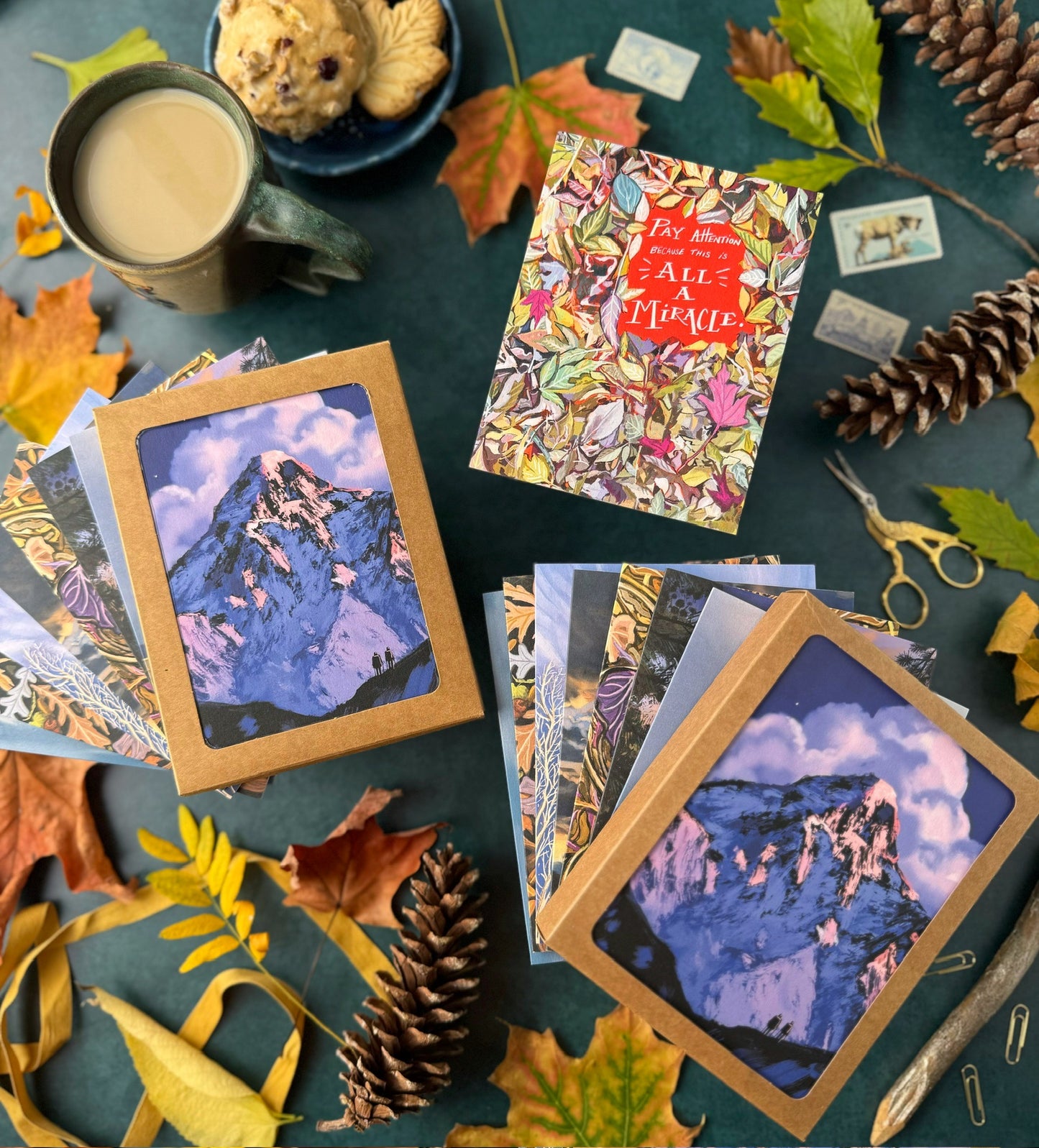 *Collector's Edition* Set of The Drawn to Beauty Collection