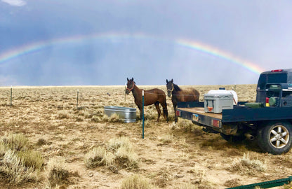 Rainbow In The Desert