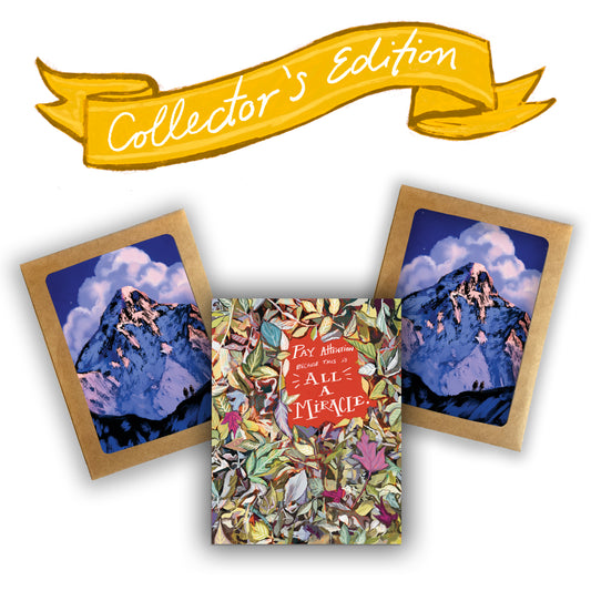 *Collector's Edition* Set of The Drawn to Beauty Collection