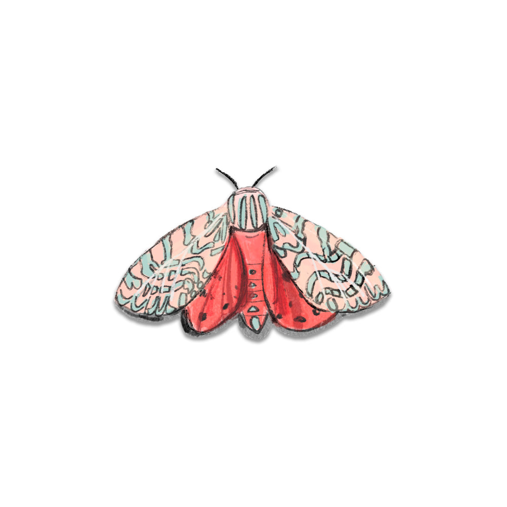 Painted Tiger Moth Sticker sticker Tiny and Snail