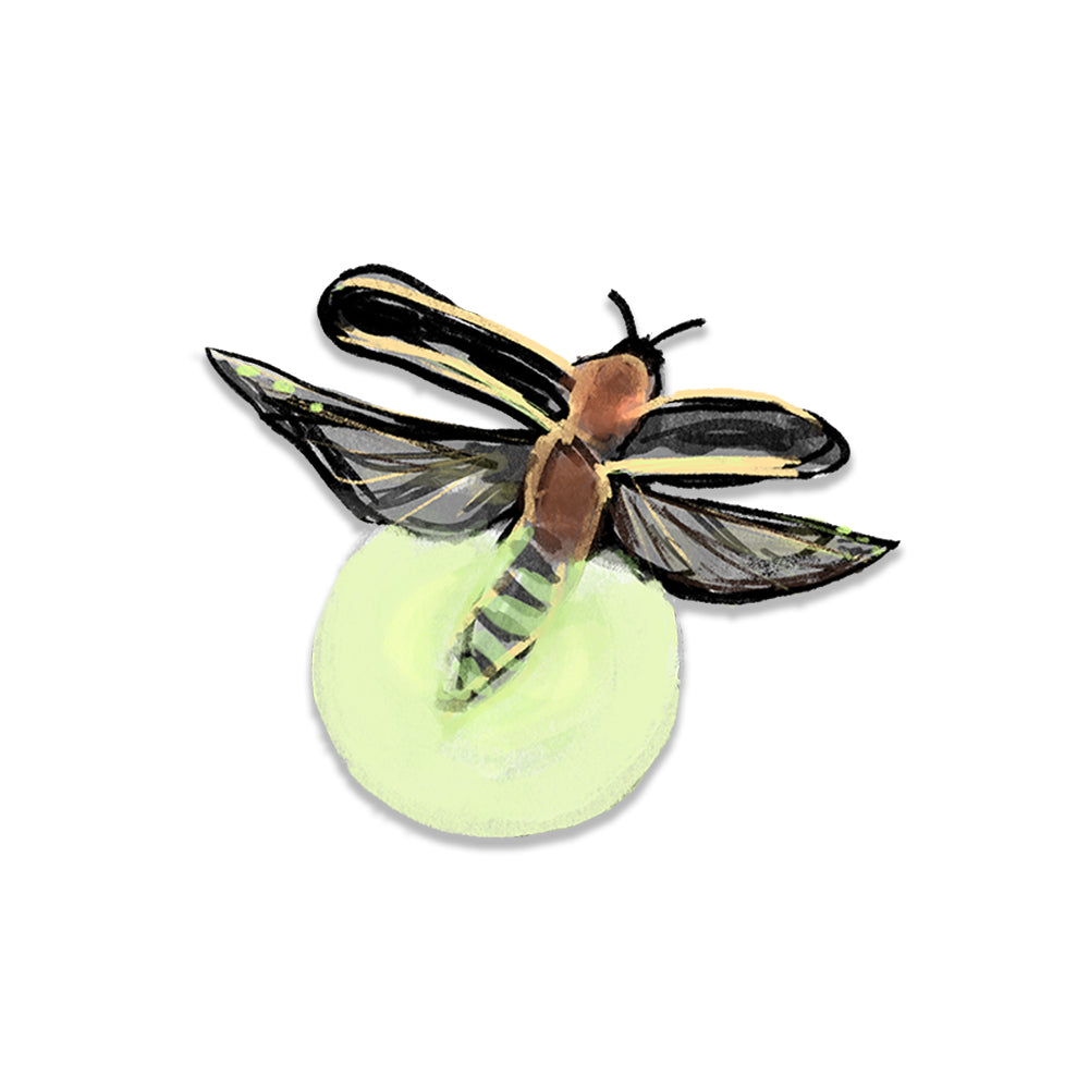 Reflective Firefly (Single Sticker) Sticker Tiny and Snail