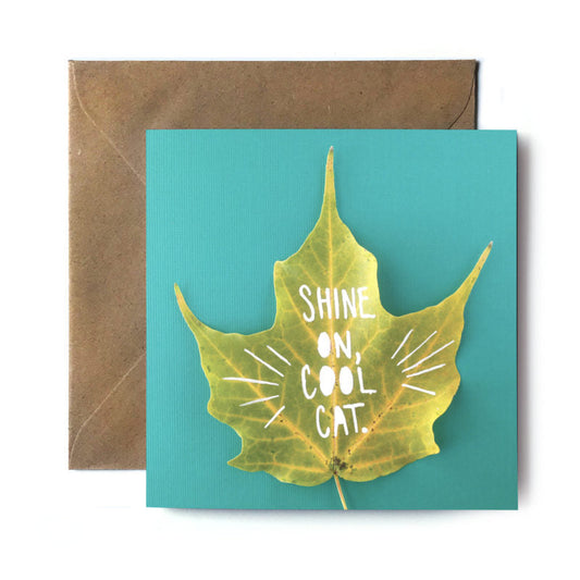 Shine On, Cool Cat (Single Card) square card Tiny and Snail