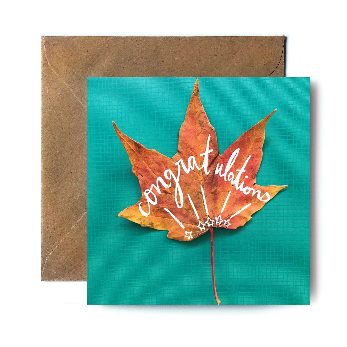 The Complete Collection of the Leaf a Message II Collection Tiny and Snail